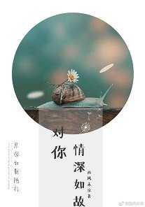 對你,情深如故