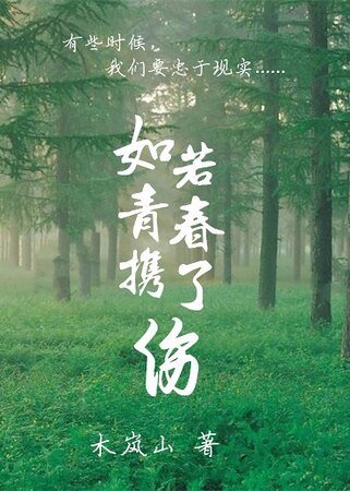 如若青春攜了傷