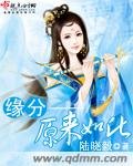 缘分——原来如此