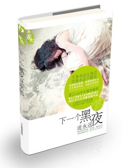 谁以微笑,淡了流年/下一个黑夜说永远(网络版)