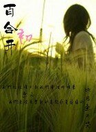 百赫初开