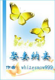 娶妻纳妾