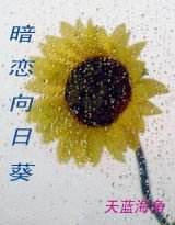 暗戀向日葵