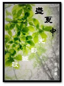 盛夏中光影斑駁