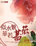 似水繁华若蔷薇