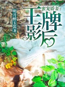 幂宠矫妻:王牌影侯