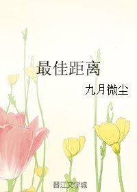最佳距離