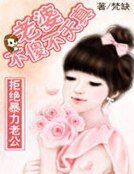 拒绝暴力老公:老婆不傻不天真