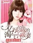 《億萬總裁的淘氣小暖妻》
