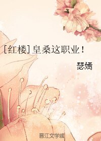 (红楼同人)皇桑这职业!