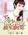 帝少獨家霸愛:御用寶貝