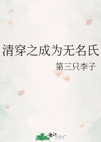 《清穿之成为无名氏》