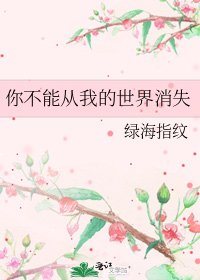 《你不能從我的世界消失》