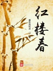 (红楼同人)红楼春
