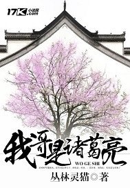 《我哥是諸葛亮》