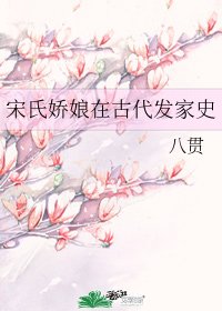 《宋氏娇娘在古代发家史》