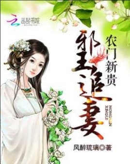 農門新貴:泻王追妻風