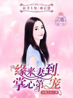 缘来妻到,掌心第一宠