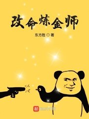 《改命炼金师》