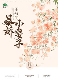 王爷的柜矫小妻子