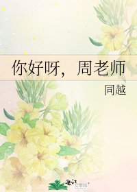 你好呀,周老师