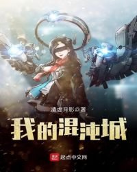 《我的混沌城》