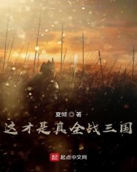 这才是真全战三国