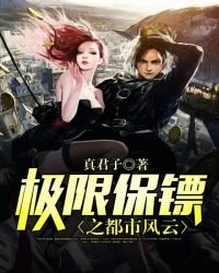 《極限保鏢之都市風雲》