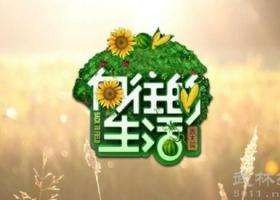 (BG/向往的生活同人)向往的生活同人