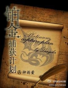 [HP]铂金捕获计划
