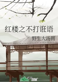 《紅樓之不打誑語》