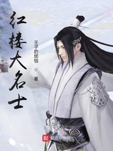 《红楼大名士》