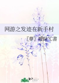 网游之发迹在新手村