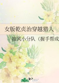 《女版乾贞治穿越猎人》