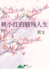 桃小紅的腦殘人生