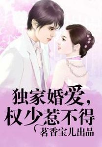獨家婚愛,權少惹不得