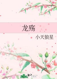 龙殇