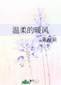 《温柔的暖风》