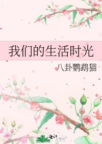 我们的生活时光