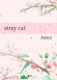 stray cat