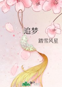 追夢