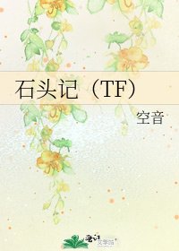 石头记(TF)