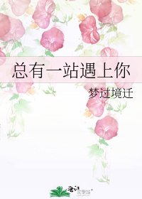 总有一站遇上你