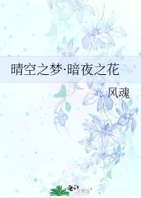 晴空之梦·暗夜之花