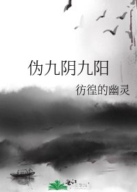 《偽九陰九陽》