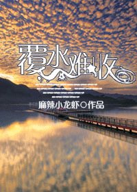 覆猫难收