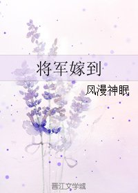 将军嫁到