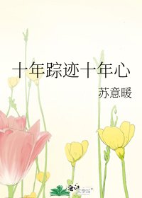 十年踪迹十年心