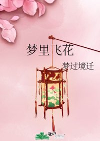 梦里飞花