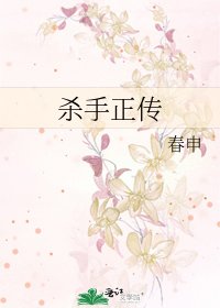 杀手正传